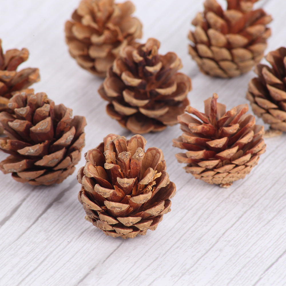 Bulk Christmas 2023 Natural Wood Pinecone DIY Decorations Wholesale