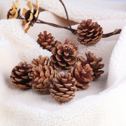 Bulk Christmas 2023 Natural Wood Pinecone DIY Decorations Wholesale